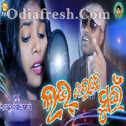 Love Karuchhe Mui Narendra Manbi Sambalpuri Song Odia Song mp3